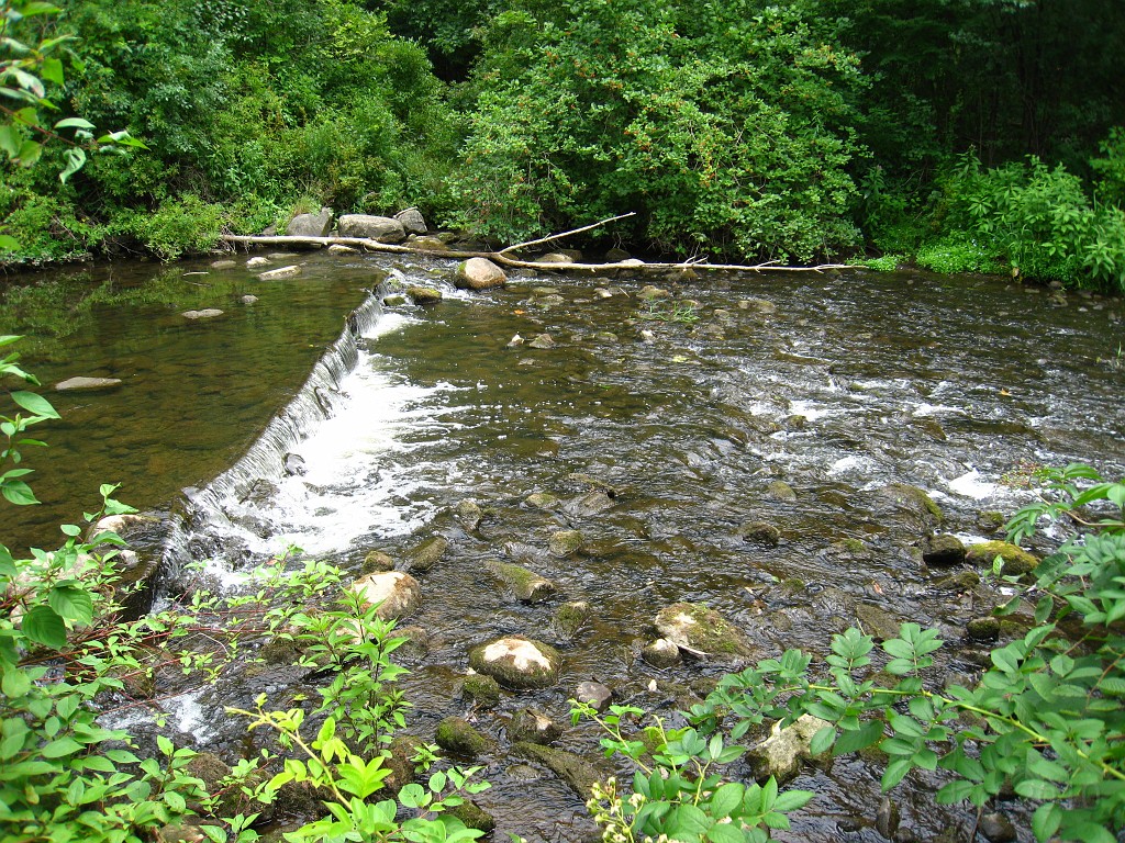 Matthaei Botanical Gardens 2010 0590.jpg - There is a small waterfall on one of the streams along the path.